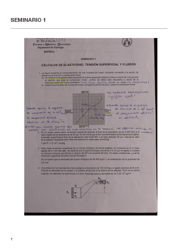 Miniatura del documento Seminario-1.pdf
