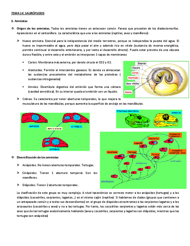 Miniatura del documento tema-14-fauna-definitivo.pdf