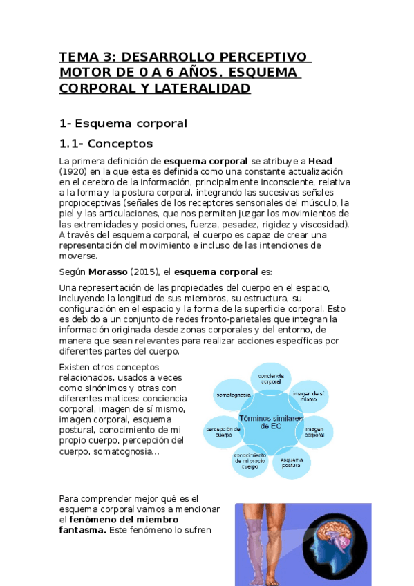 Miniatura del documento Tema-3-desarrollo.docx