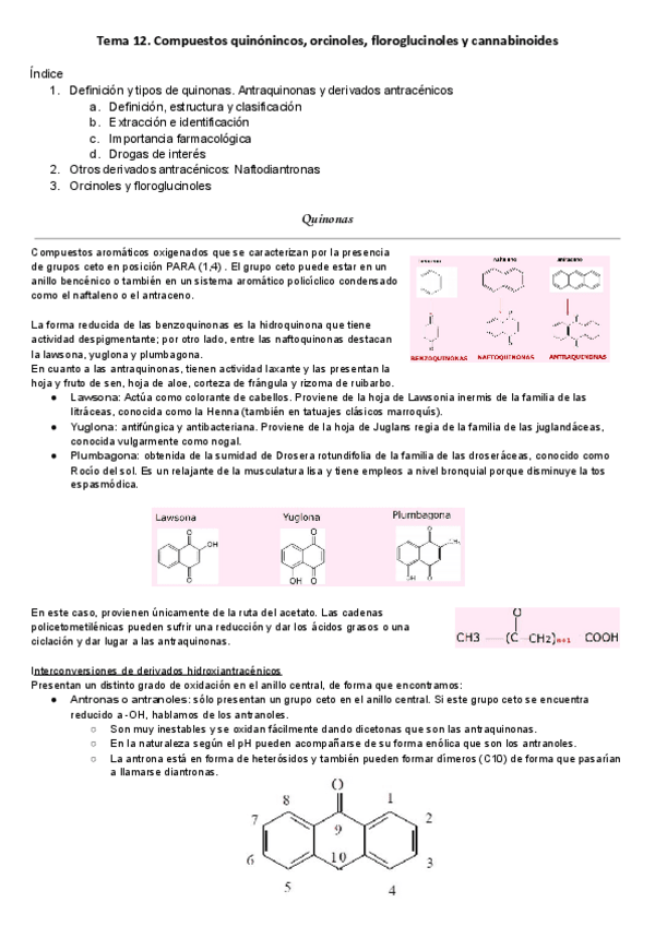 Miniatura del documento Tema-12.pdf