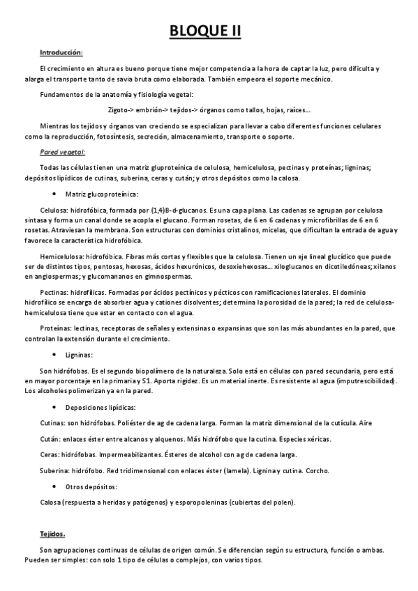 Miniatura del documento bloque-II-primera-parte.pdf