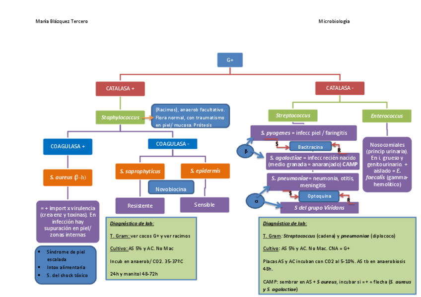 Miniatura del documento Esquema-COCOS-G.pdf