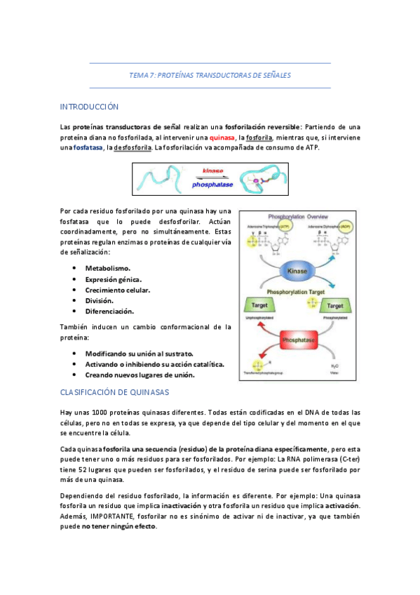 Miniatura del documento TEMA-7-PROTEINAS-TRANSDUCTORAS-DE-SENALES.pdf