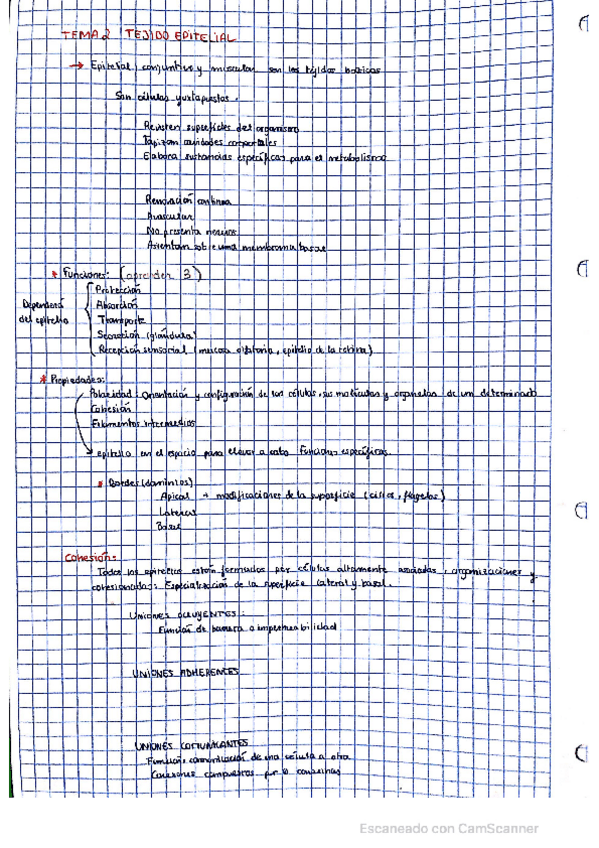 Miniatura del documento Histologia-Primer-Parcial.pdf