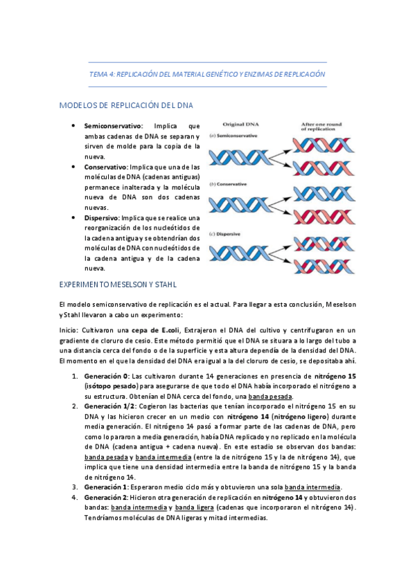 Miniatura del documento TEMA-4-REPLICACION-DEL-MATERIAL-GENETICO-Y-ENZIMAS-DE-REPLICACION.pdf
