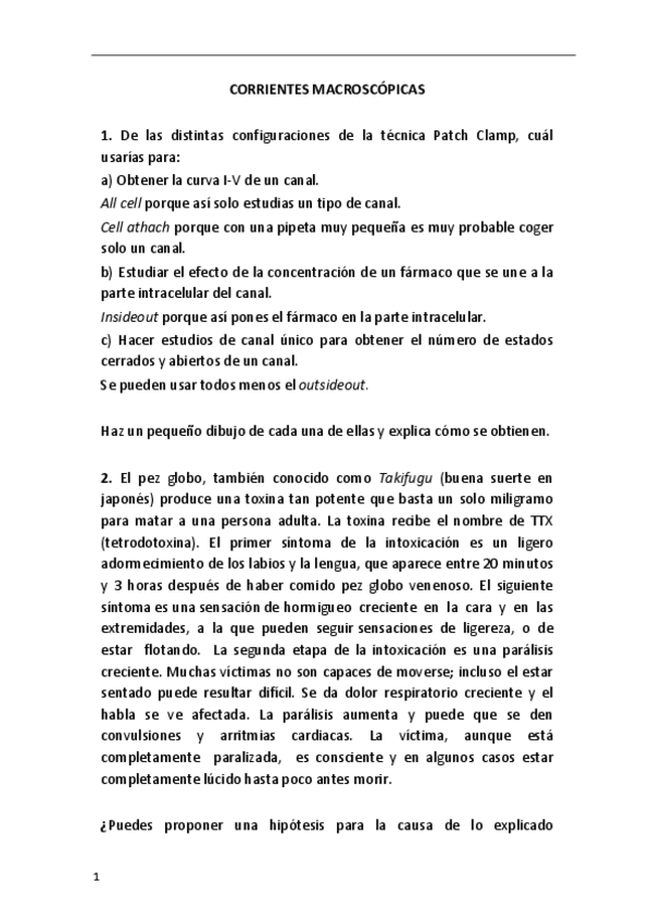 Miniatura del documento Corrientes Macroscópicas.pdf