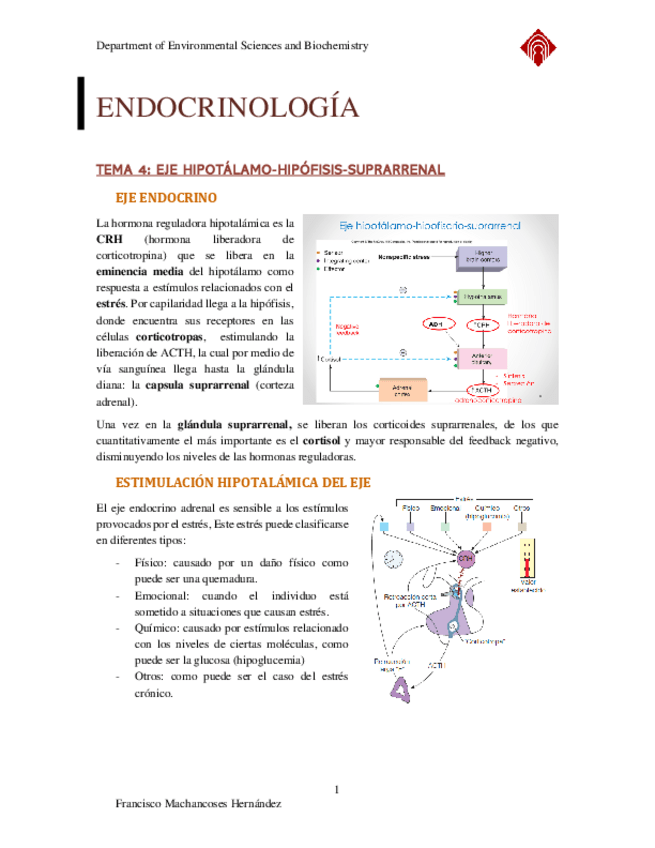 Miniatura del documento ENDOCRINOLOGIA-TEMA-4-COMPLETO.pdf