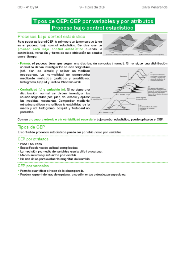 Miniatura del documento 9-Tipos-de-CEP.pdf