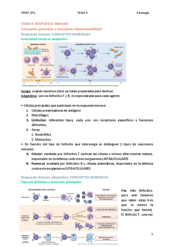Miniatura del documento TEMA-9-RESPUESTA-INMUNE.pdf