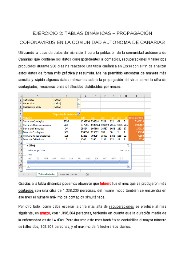 Miniatura del documento EJERCICIO-2-TABLAS-DINAMICAS-.pdf