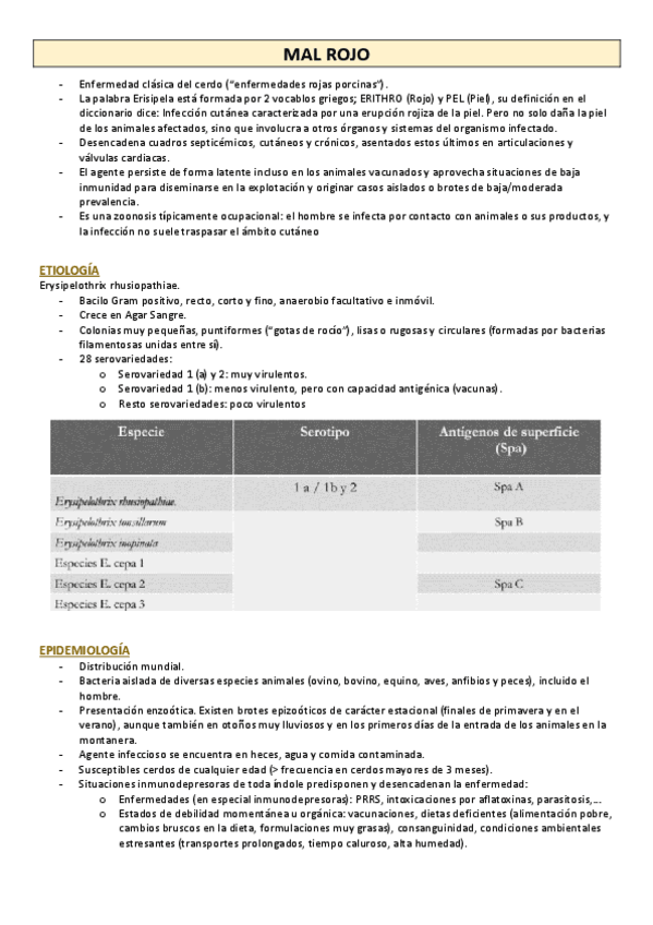 Miniatura del documento MAL-ROJO-PORCINO.pdf