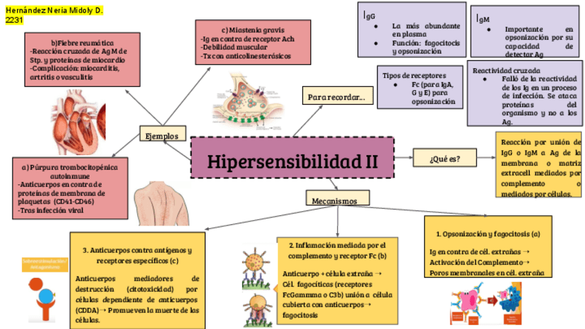 Miniatura del documento Hipersensibilidad-Pte-2-resumen.pdf