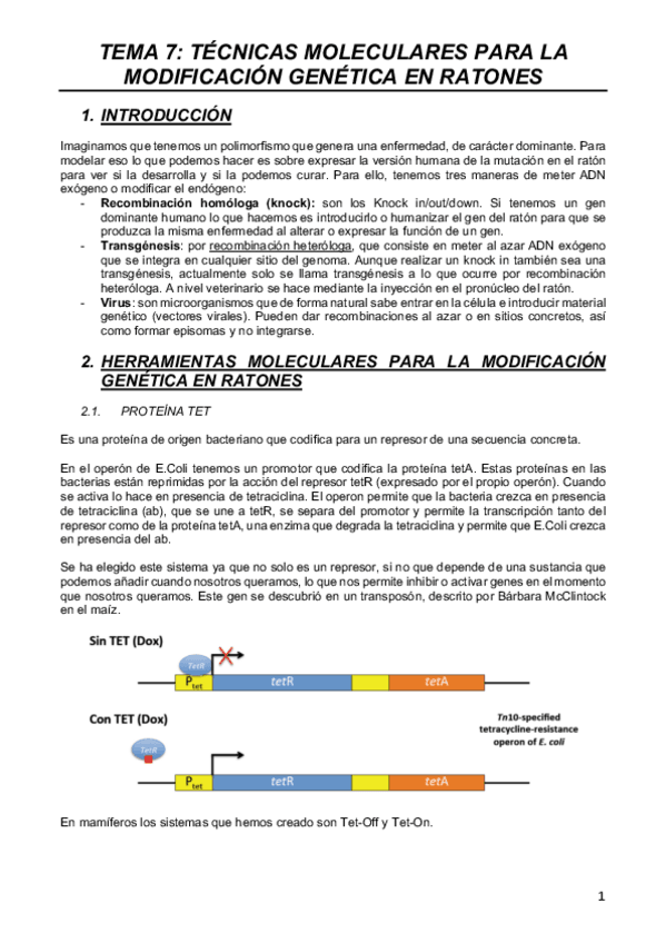Miniatura del documento MODELOS-T7.pdf