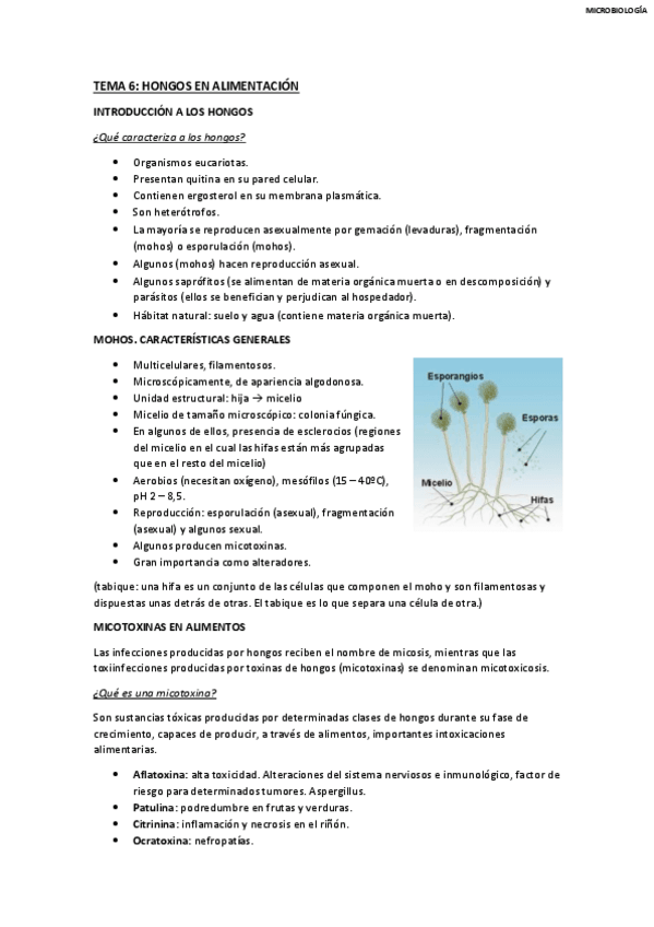 Miniatura del documento TEMA-6.pdf