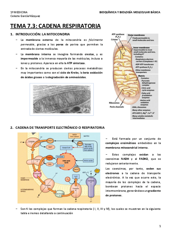 Miniatura del documento TEMA-7.pdf