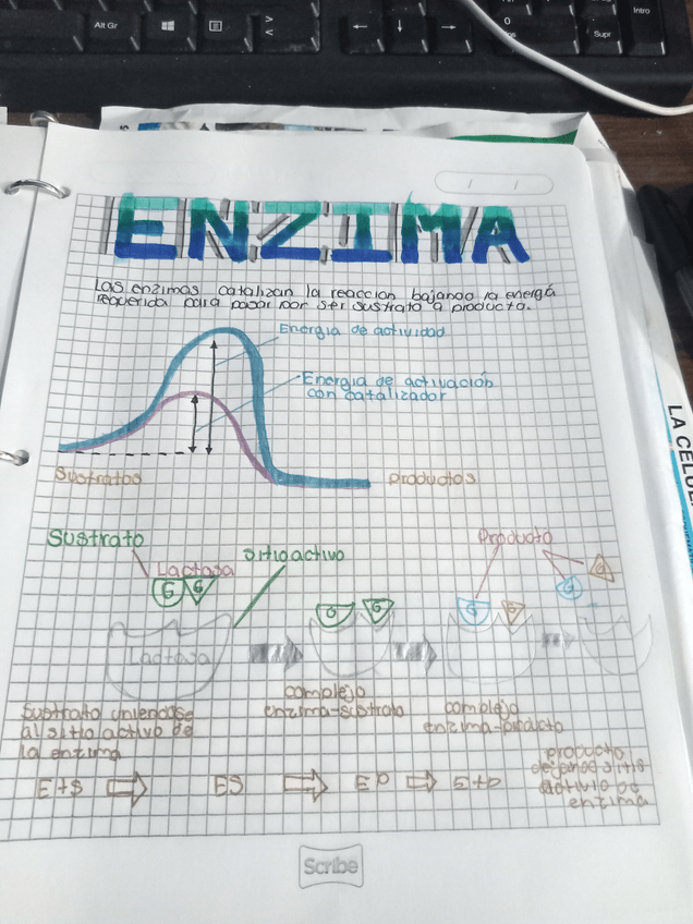 Miniatura del documento IMG20201027183446.jpg