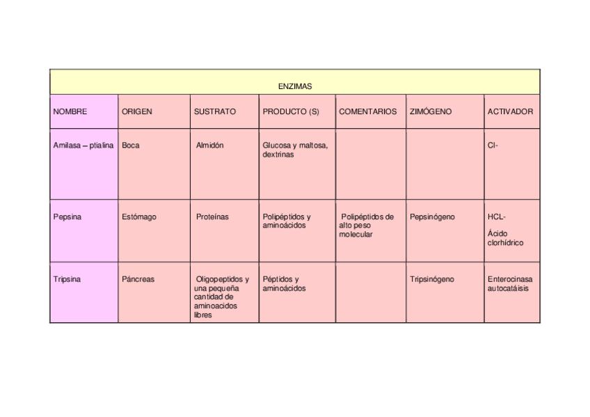 Miniatura del documento Enzimas.pdf