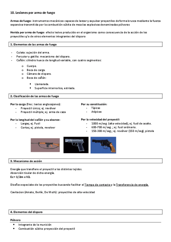 Miniatura del documento 10.pdf