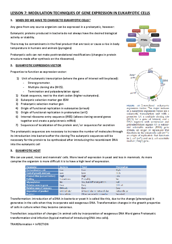 Miniatura del documento LESSON-7.pdf
