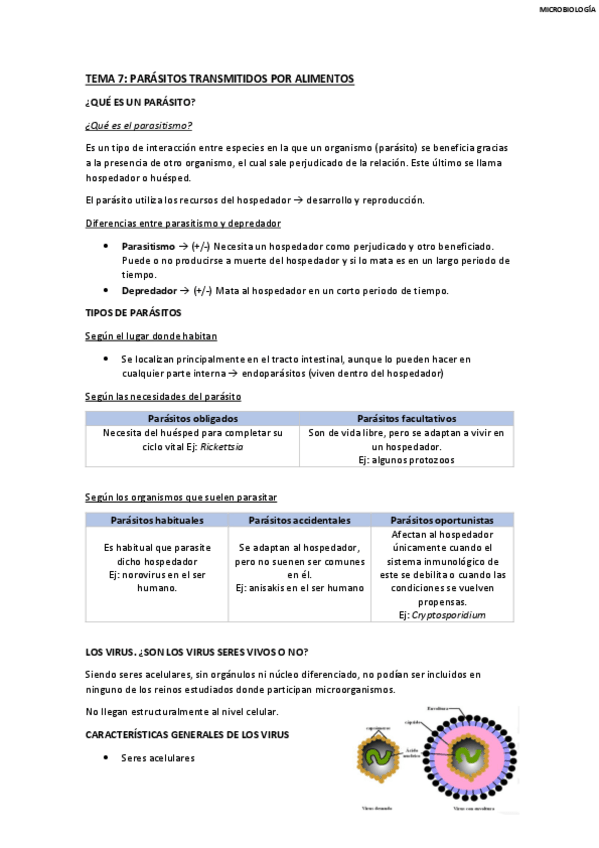 Miniatura del documento TEMA-7.pdf