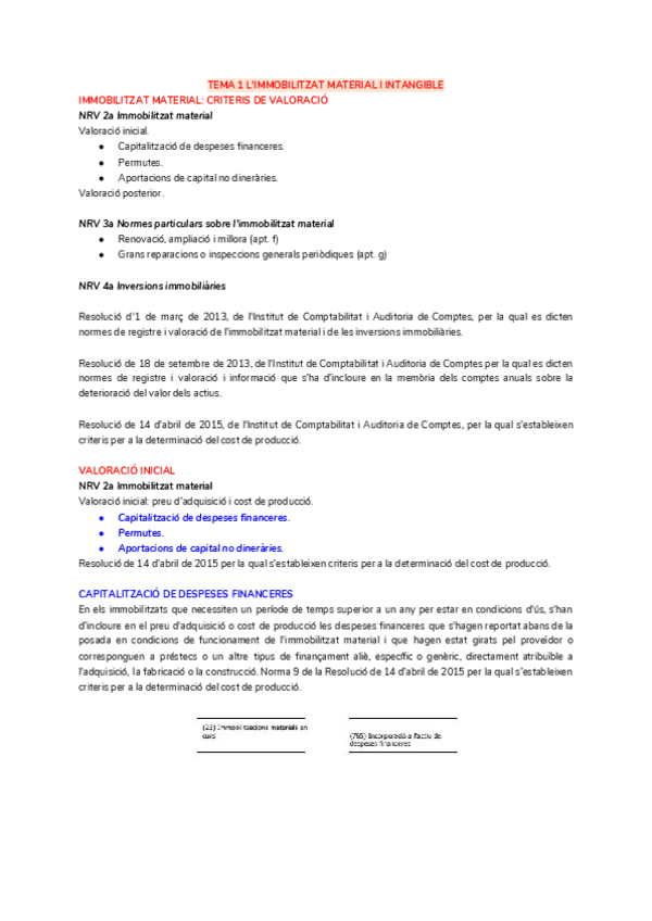 Miniatura del documento TEMA-1-LIMMOBILITZAT-MATERIAL-I-INTANGIBLE.pdf