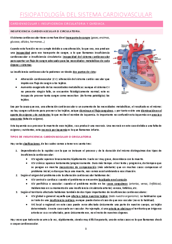 Miniatura del documento Cardiovascular-1.pdf