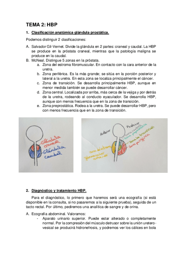 Miniatura del documento PREGUNTAS-UROLOGIA.pdf