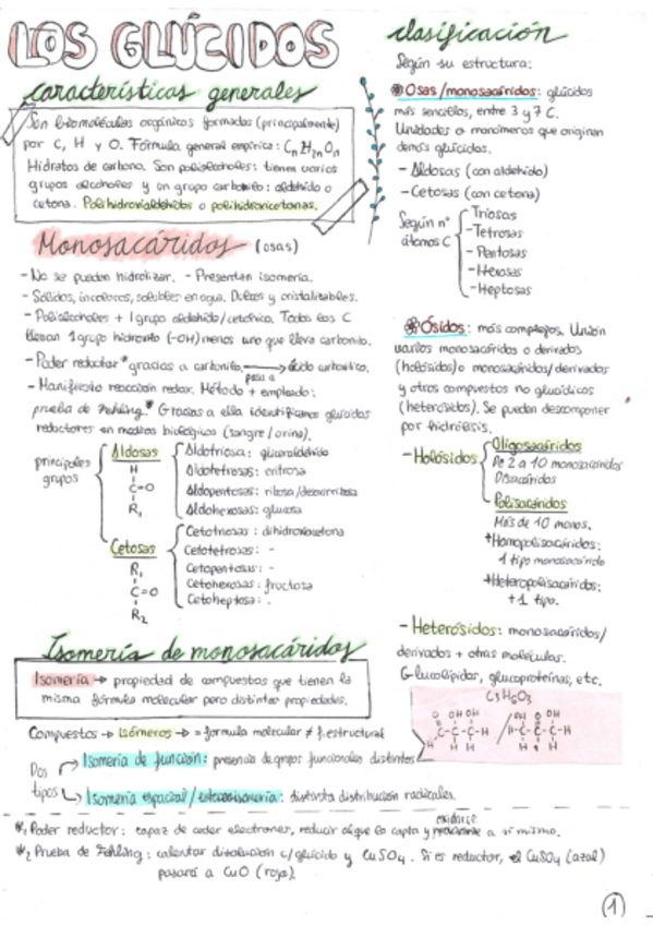 Miniatura del documento glucidos.pdf