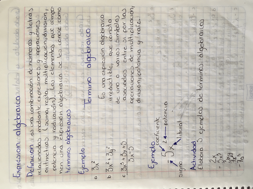 Miniatura del documento IMG1033.jpg