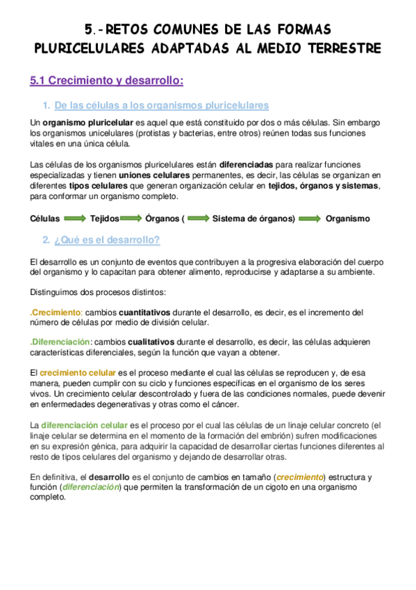 Miniatura del documento 5.pdf