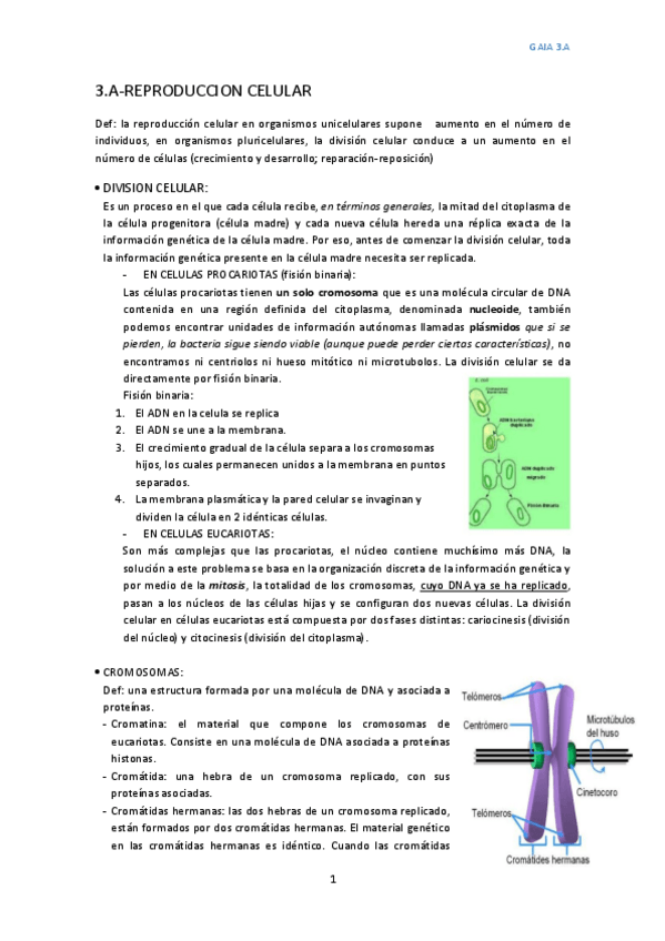 Miniatura del documento 3.pdf