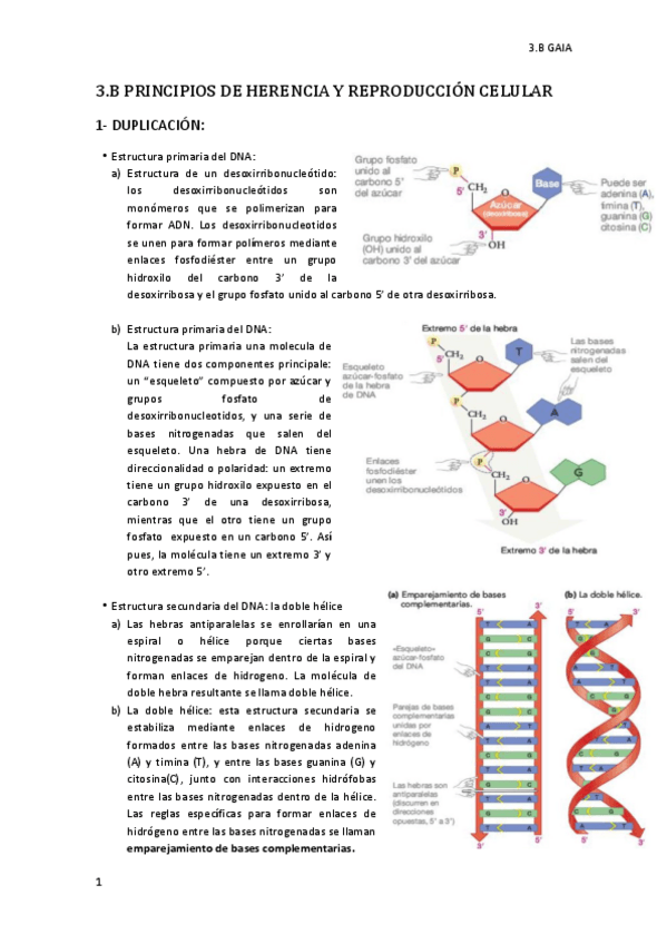 Miniatura del documento 3.pdf