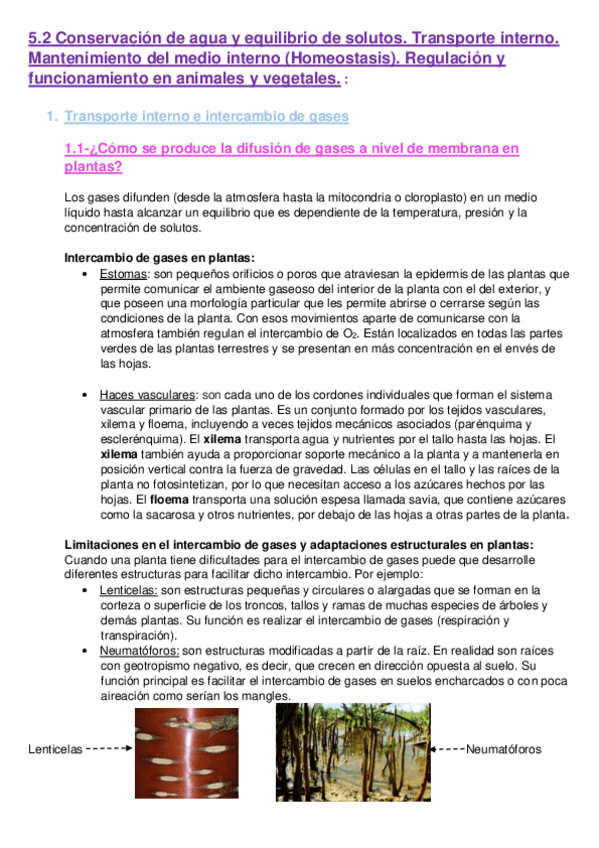 Miniatura del documento 5.pdf