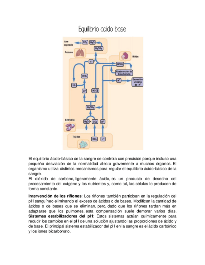 Miniatura del documento Equilibrio-Acido-Base-y-Presion-Arterial.pdf