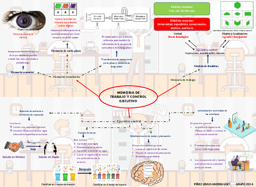 Miniatura del documento Memoria-de-trabajo-y-control-ejecutivo.pdf