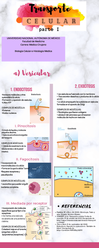 Miniatura del documento Transporte-celular.pdf