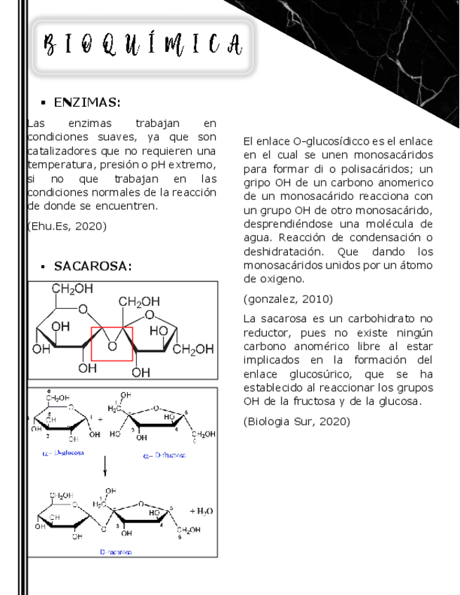 Miniatura del documento B-I-O-Q-U-I-M-I-C-A.pdf