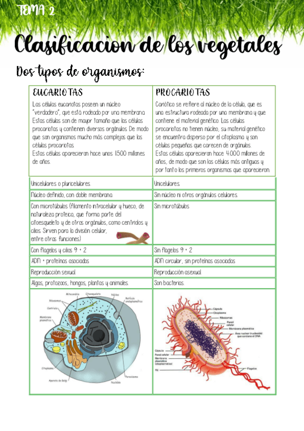 Miniatura del documento ClasifiVeg-y-ReinosBiolog.pdf