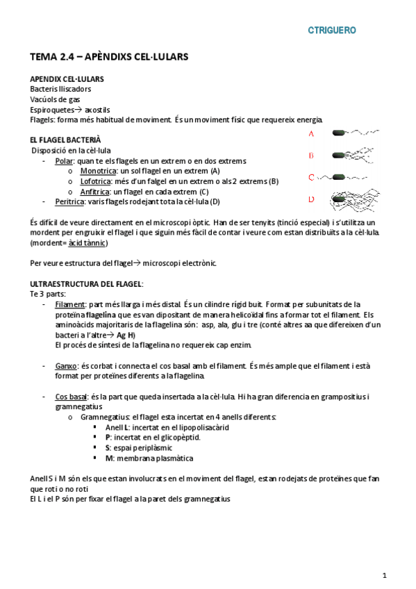 Miniatura del documento 4. Bloc 2 (3a part).pdf