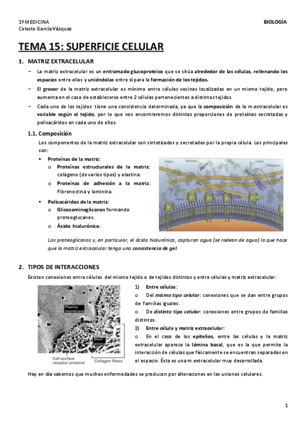 Miniatura del documento TEMA-15-1.pdf