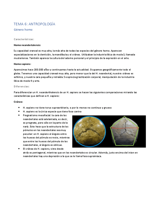 Miniatura del documento Tema-6.pdf