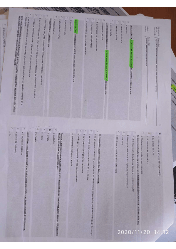 Miniatura del documento preguntas-examen-primer-cuatri.pdf