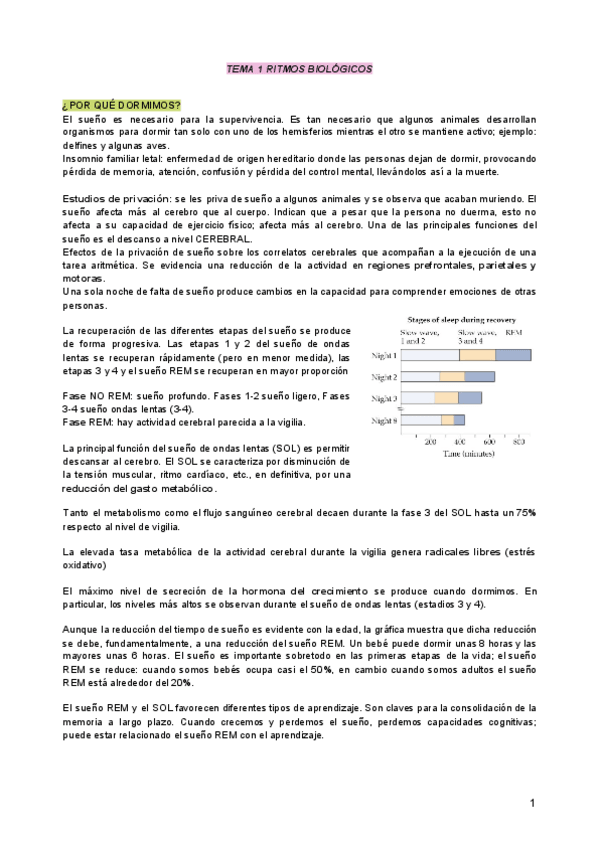Miniatura del documento TEMA-1.pdf