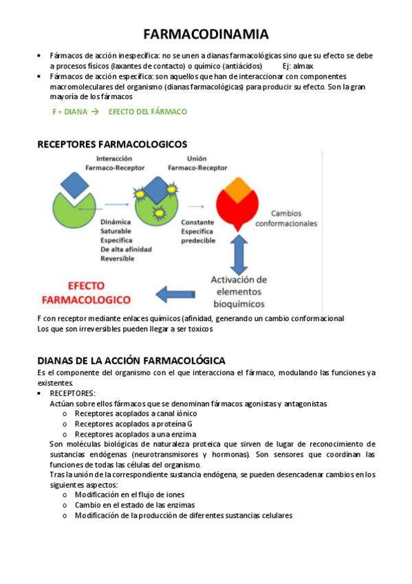 Miniatura del documento T3-FYF.pdf