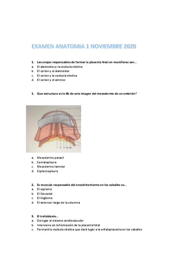 Miniatura del documento EXAMEN-ANATOMIA-1-NOVIEMBRE-2020.pdf