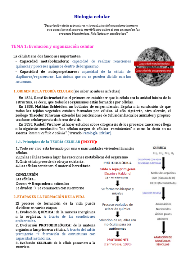 Miniatura del documento Apuntes-Biologia-celular-y-tisular846-1.pdf