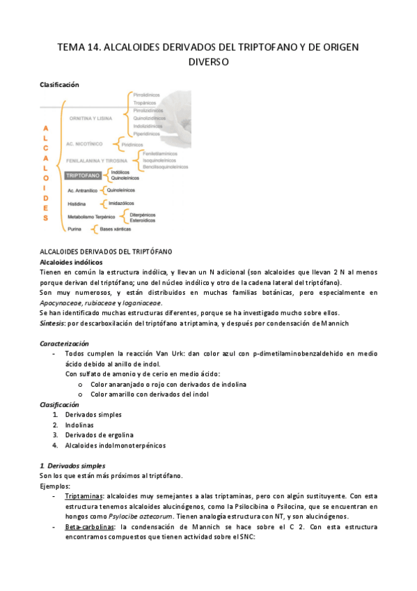 Miniatura del documento R - TEMA 14.pdf