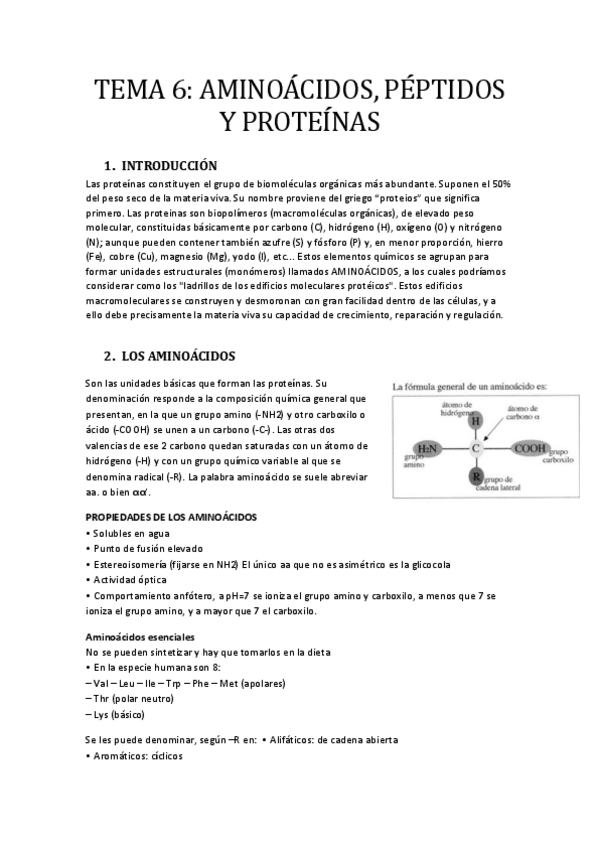 Miniatura del documento -TEMA-6-AMINOACIDOS-PEPTIDOS-Y-PROTEINAS.pdf