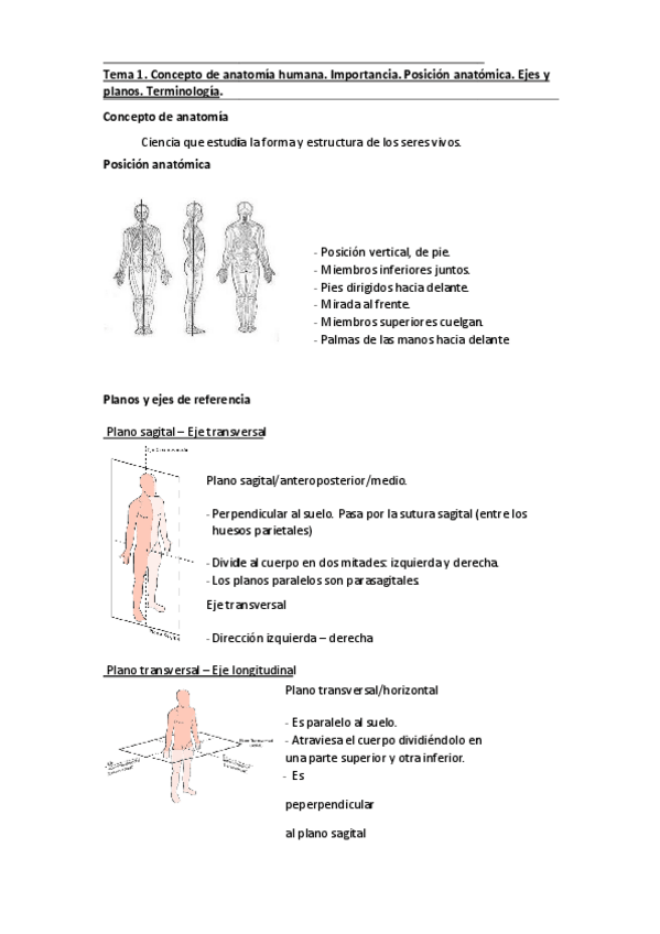 Miniatura del documento tema-1-2-y-3-anatomia.pdf
