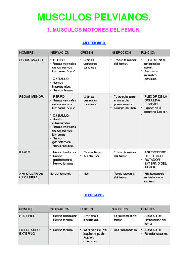 Miniatura del documento musculos-motores-del-femur.pdf